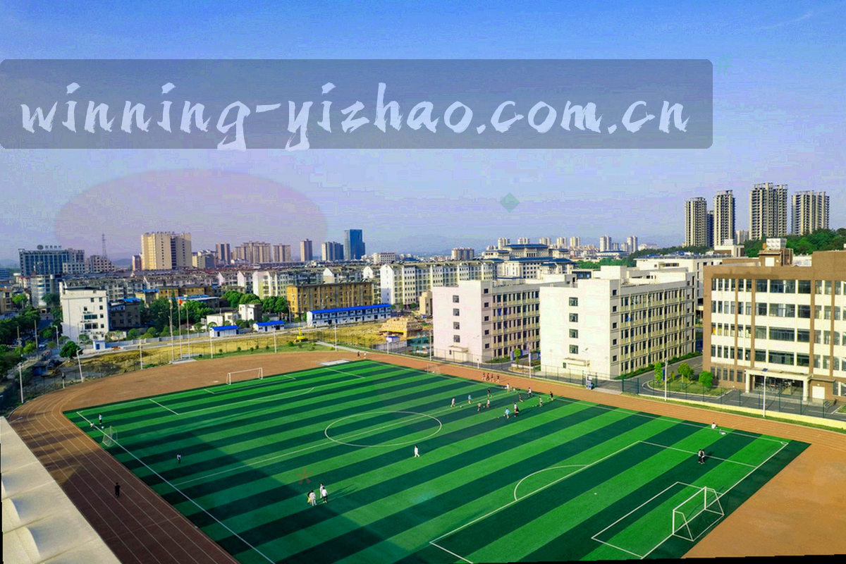 球场边线局部与荧光数据线叠加的暗色战报封面